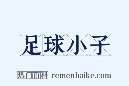 足球小子是什么意思的图片